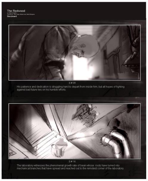 redwood-storyboarding-show-more